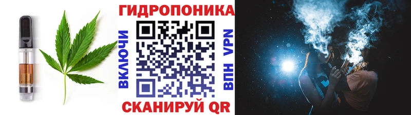 Canna-Cookies марихуана  мега маркетплейс  Новороссийск 