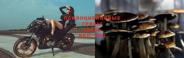 прущая мука Магас