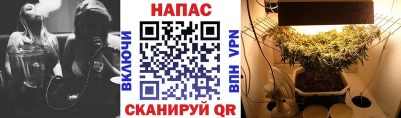 маркетплейс наркотические препараты  Новороссийск  Бошки Шишки VHQ  наркошоп 